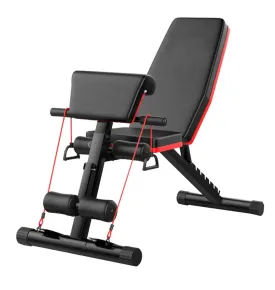 Home Gym adjustable dumbbells bench